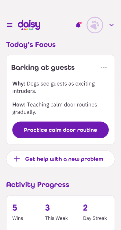Today's Focus — Daisy suggests a calm door routine for Gertie
