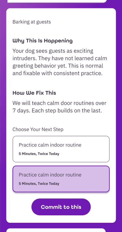 Behavior plan — a 7-day calm door routine with next steps